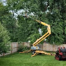 How Our Tree Care Process Works  in  Liberty, UT